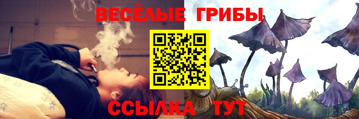 Галлюциногенные грибы Cubensis  Галлюциногенные грибы Magic Shrooms  купить наркотик  Ростов Великий  Вход с VPN 